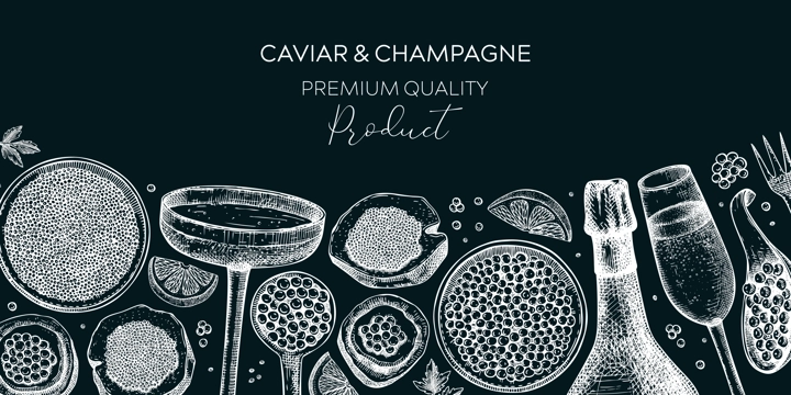 Caviar and champagne hand drawn illustrations collection. Hand drawn red caviar canape, canned black caviar, sparkling wine bottle, glasses sketches set. Seafood drawings isolated on white background
